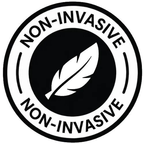 Non-invasive biological hardware icon for Siya Ring menopausal relief.